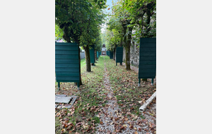 Quota pour les championnats de France